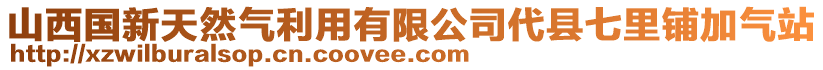 山西国新天然气利用有限公司代县七里铺加气站