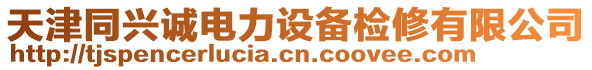天津同興誠電力設備檢修有限公司