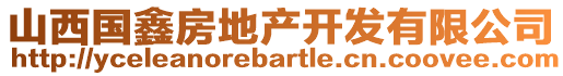 山西國鑫房地產(chǎn)開發(fā)有限公司