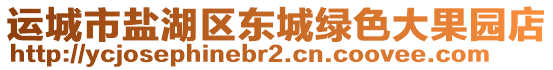 运城市盐湖区东城绿色大果园店