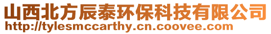 山西北方辰泰環保科技有限公司
