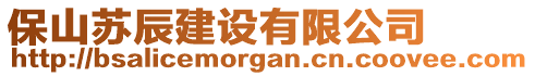 保山蘇辰建設有限公司