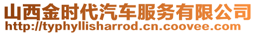 山西金時代汽車服務有限公司