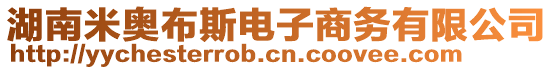 湖南米奧布斯電子商務有限公司