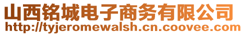 山西銘城電子商務有限公司