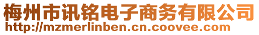 梅州市訊銘電子商務(wù)有限公司