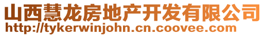 山西慧龙房地产开发有限公司