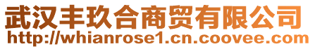 武漢豐玖合商貿(mào)有限公司