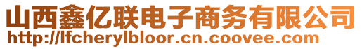 山西鑫億聯(lián)電子商務(wù)有限公司