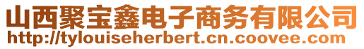 山西聚寶鑫電子商務(wù)有限公司