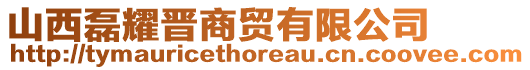 山西磊耀晉商貿(mào)有限公司