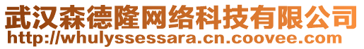 武漢森德隆網(wǎng)絡(luò)科技有限公司