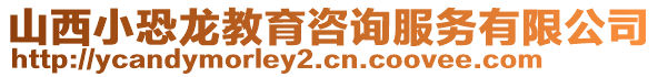 山西小恐龍教育咨詢服務有限公司