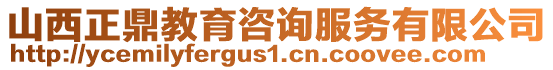 山西正鼎教育咨詢服務(wù)有限公司