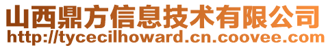 山西鼎方信息技術有限公司