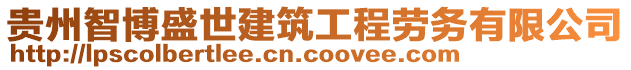 貴州智博盛世建筑工程勞務有限公司