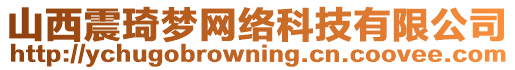 山西震琦夢(mèng)網(wǎng)絡(luò)科技有限公司