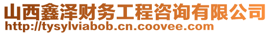 山西鑫澤財務工程咨詢有限公司