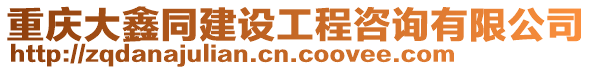 重慶大鑫同建設工程咨詢有限公司