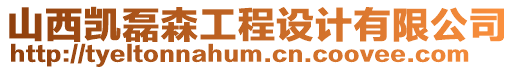 山西凱磊森工程設計有限公司