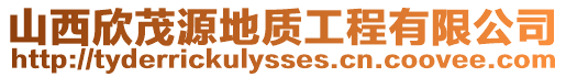 山西欣茂源地質工程有限公司