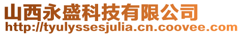 山西永盛科技有限公司