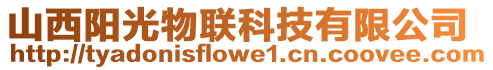 山西陽(yáng)光物聯(lián)科技有限公司