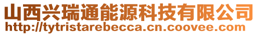 山西兴瑞通能源科技有限公司