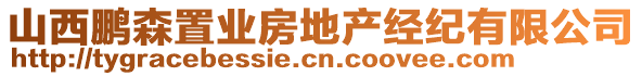 山西鵬森置業(yè)房地產(chǎn)經(jīng)紀有限公司