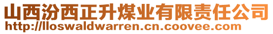 山西汾西正升煤業(yè)有限責(zé)任公司