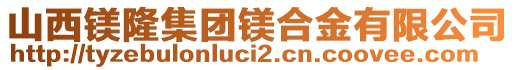 山西鎂隆集團(tuán)鎂合金有限公司