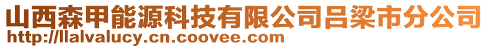 山西森甲能源科技有限公司呂梁市分公司