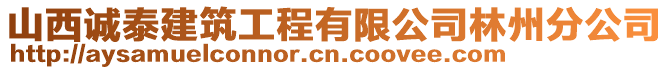 山西誠泰建筑工程有限公司林州分公司