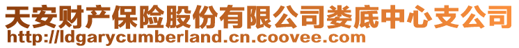 天安财产保险股份有限公司娄底中心支公司