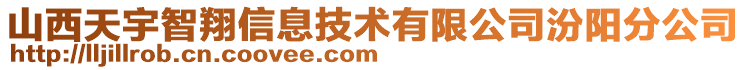 山西天宇智翔信息技術(shù)有限公司汾陽分公司