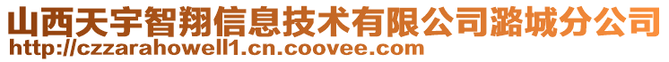 山西天宇智翔信息技術有限公司潞城分公司