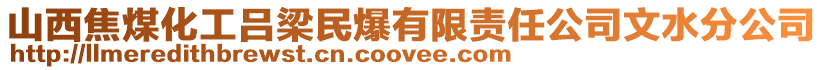 山西焦煤化工呂梁民爆有限責(zé)任公司文水分公司