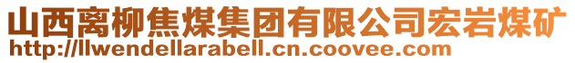 山西離柳焦煤集團(tuán)有限公司宏巖煤礦