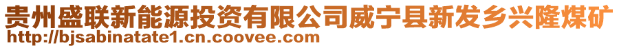 貴州盛聯(lián)新能源投資有限公司威寧縣新發(fā)鄉(xiāng)興隆煤礦