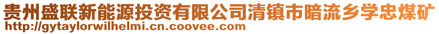 貴州盛聯(lián)新能源投資有限公司清鎮(zhèn)市暗流鄉(xiāng)學(xué)忠煤礦