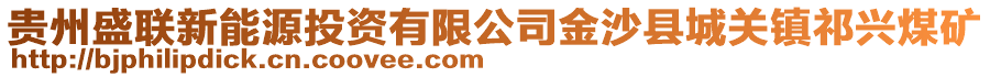 貴州盛聯(lián)新能源投資有限公司金沙縣城關(guān)鎮(zhèn)祁興煤礦