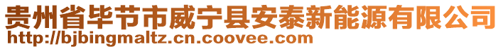 貴州省畢節(jié)市威寧縣安泰新能源有限公司