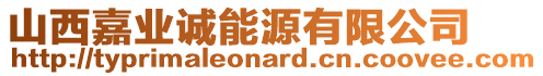 山西嘉業(yè)誠能源有限公司