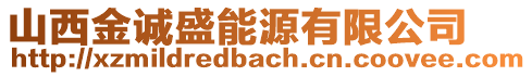 山西金誠盛能源有限公司