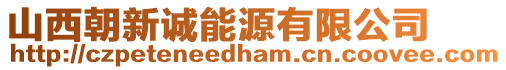 山西朝新誠能源有限公司