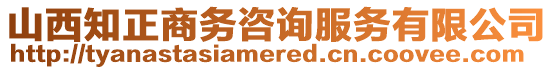 山西知正商務(wù)咨詢服務(wù)有限公司