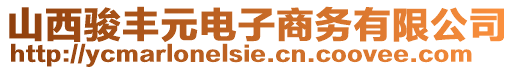 山西骏丰元电子商务有限公司