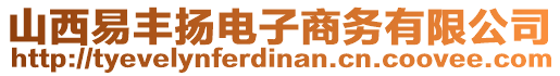 山西易丰扬电子商务有限公司