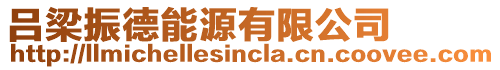 呂梁振德能源有限公司