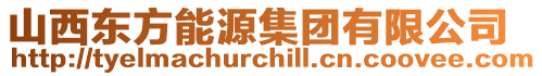 山西東方能源集團有限公司
